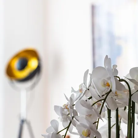 Residenz Mont Royal 트라벤트라바흐