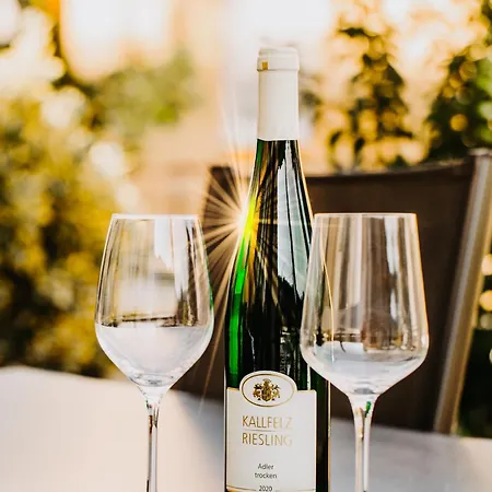 Residenz Mont Royal 아파트 트라벤트라바흐