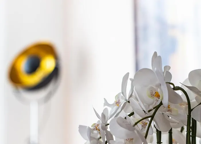 Residenz Mont Royal Traben-Trarbach