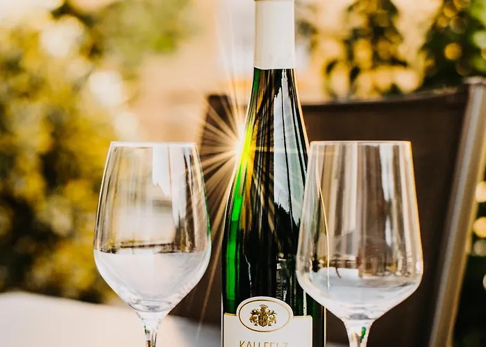 Residenz Mont Royal 公寓 特拉本特拉巴赫